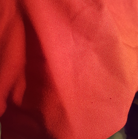 Kate & Leopold red side zip wide leg pants - Picture 3 of 5